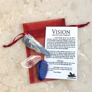 Vision, intentionspåse