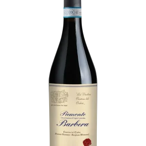 Piemonte Barbera 2020